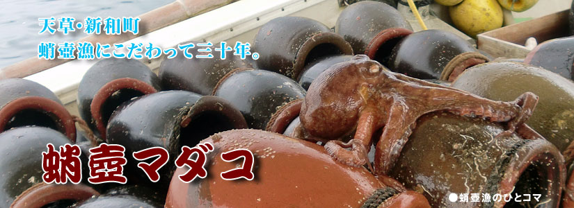 天草・新和でタコ壺漁にこだわって三十年。