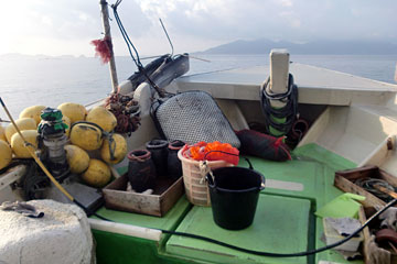 タコ漁現場に到着