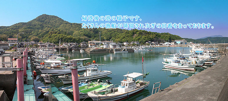 タコ漁がおわって