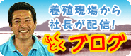 blog.gif
