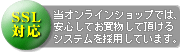 ssl.gif