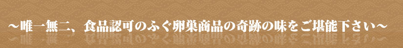 top_title2.jpg
