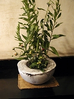 umi-07.jpg