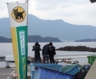 tv03.jpg